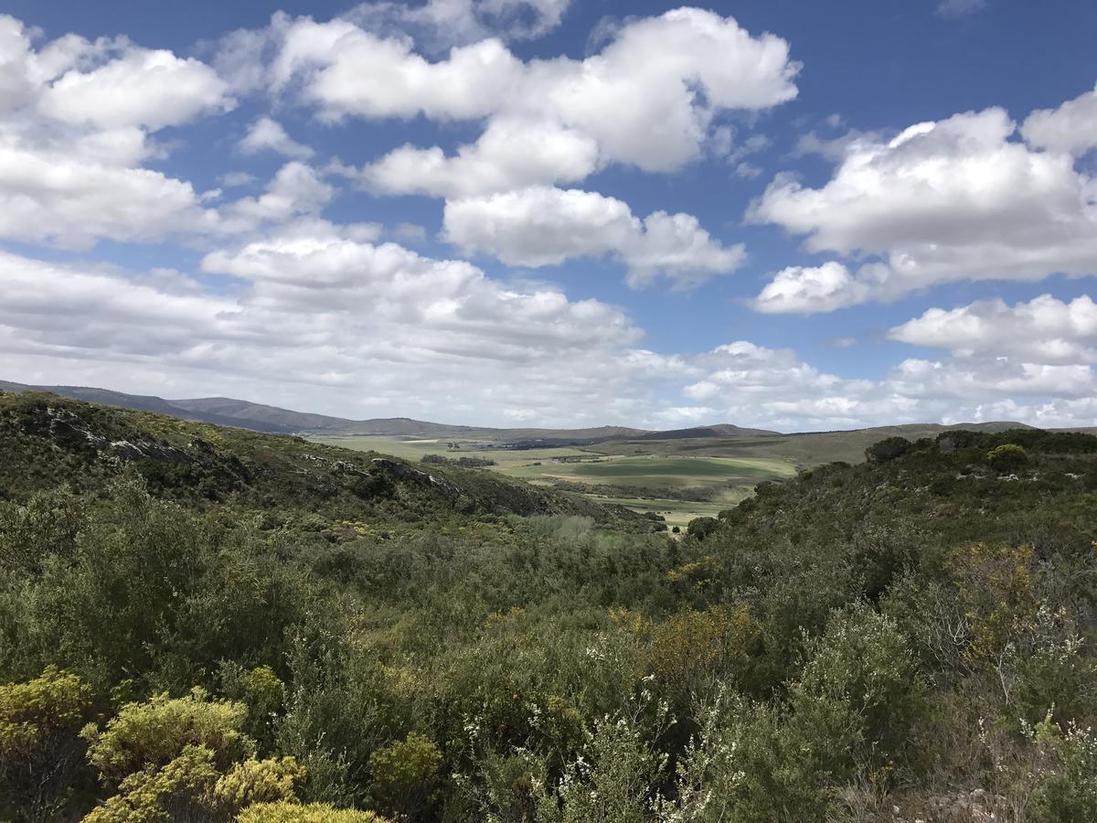 Goedvertrou Guest Farm Papiesvlei 外观 照片