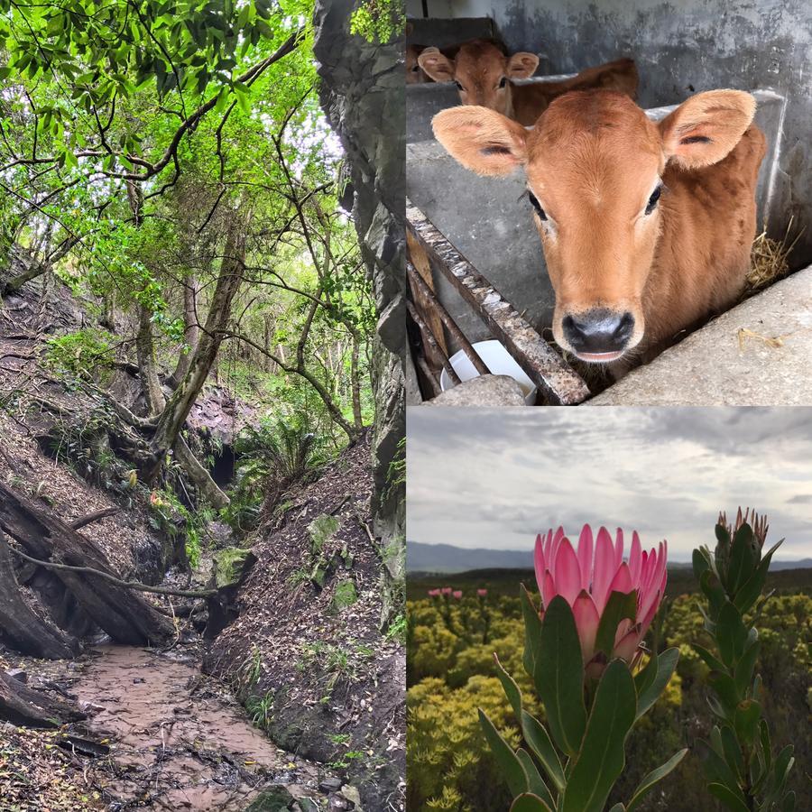 Goedvertrou Guest Farm Papiesvlei 外观 照片