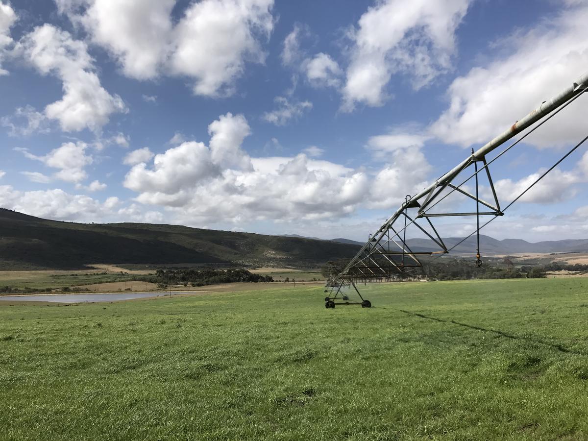 Goedvertrou Guest Farm Papiesvlei 外观 照片