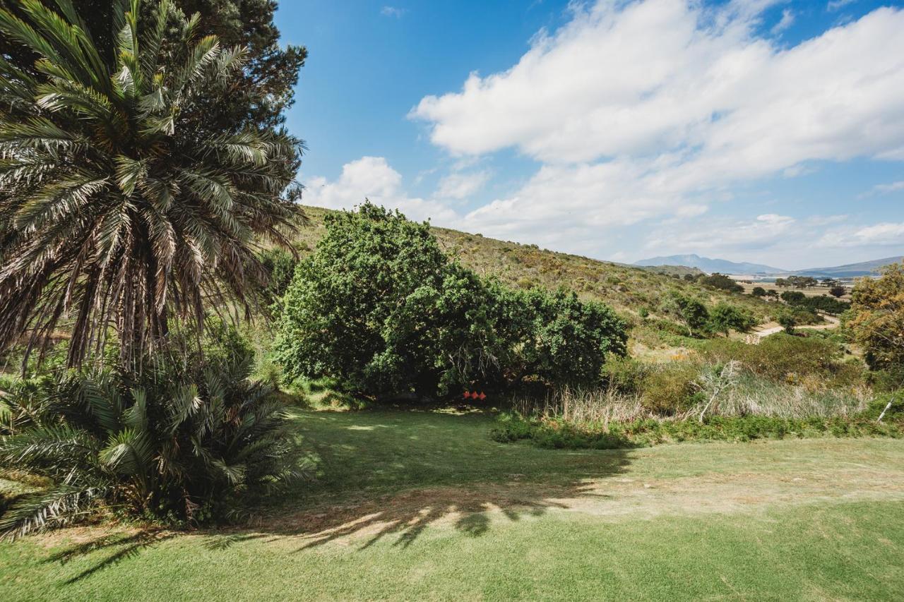 Goedvertrou Guest Farm Papiesvlei 外观 照片