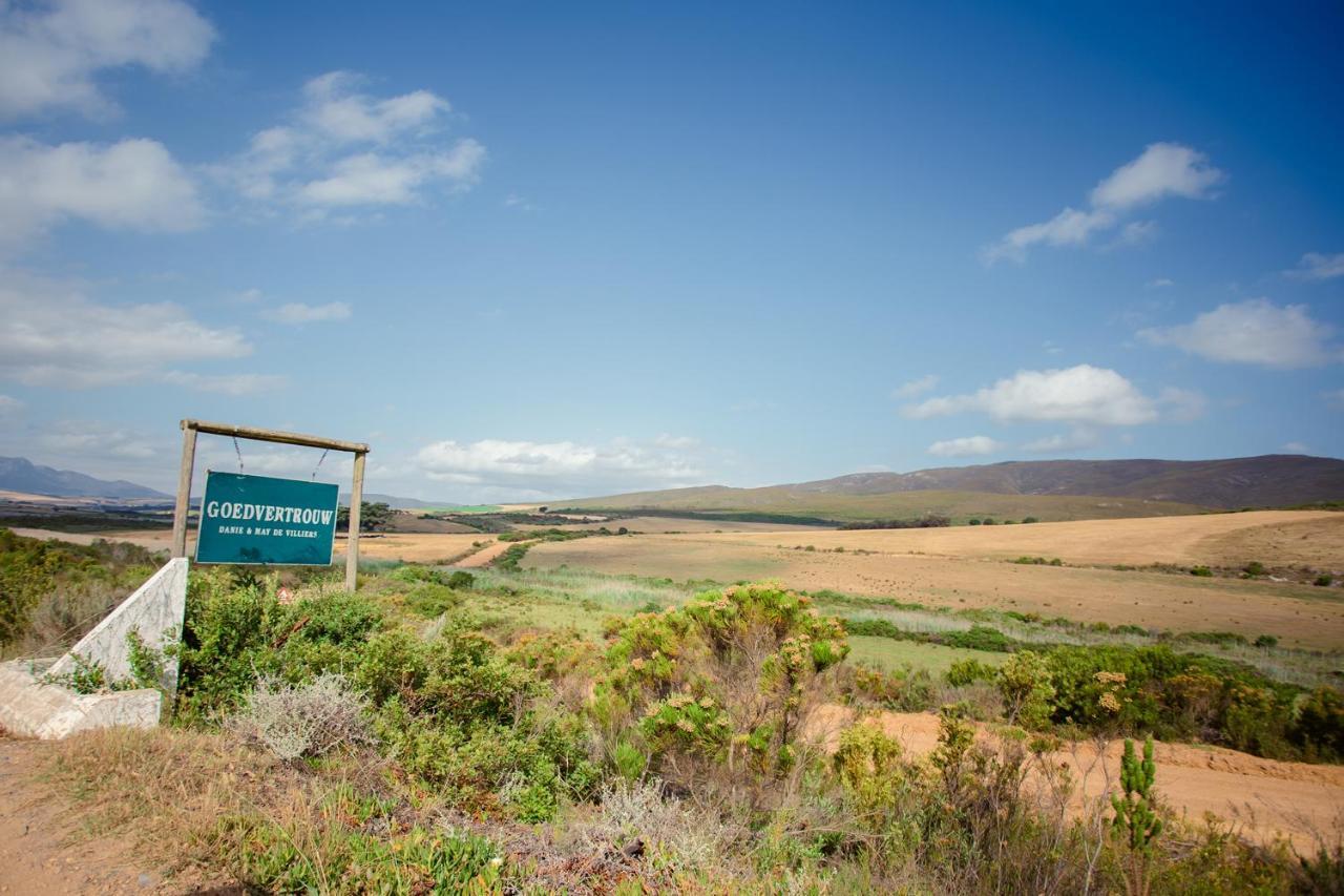 Goedvertrou Guest Farm Papiesvlei 外观 照片