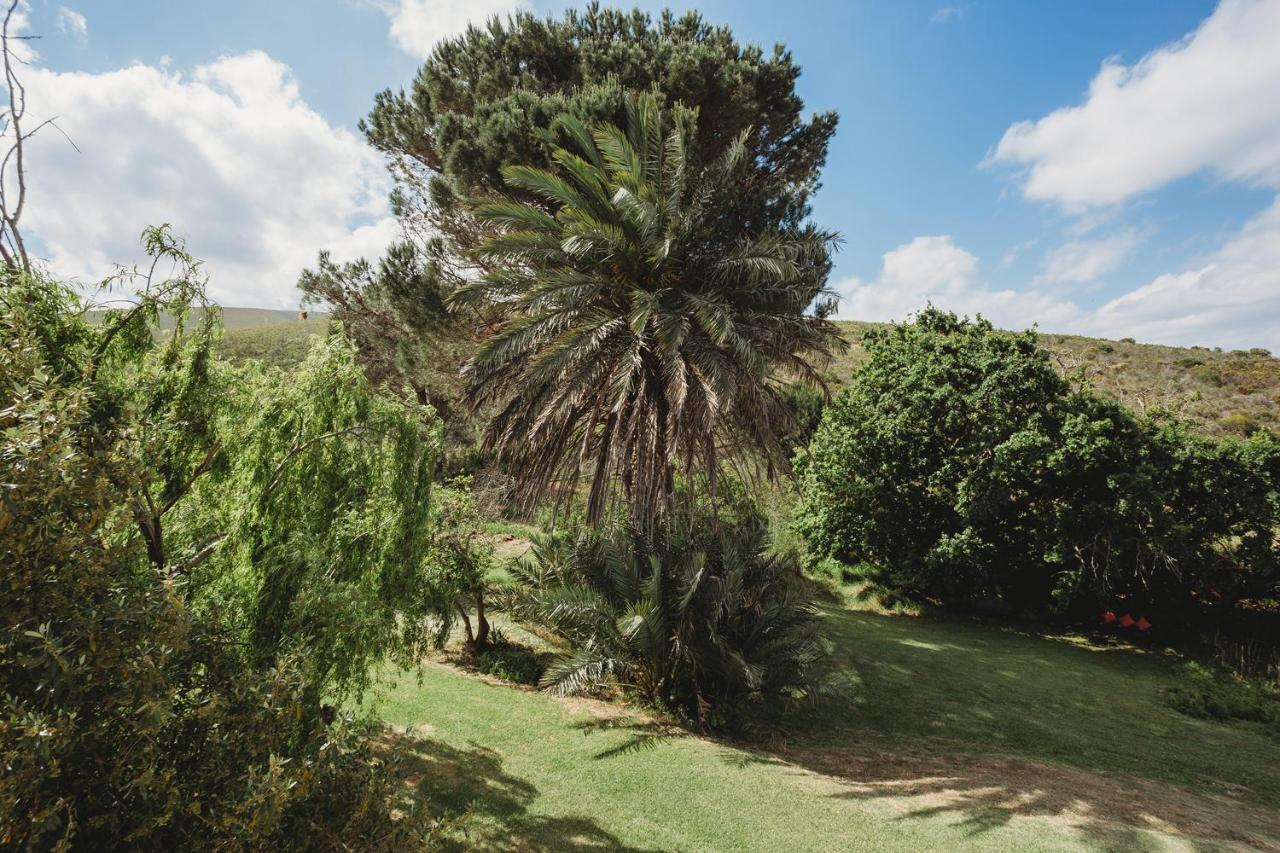 Goedvertrou Guest Farm Papiesvlei 外观 照片