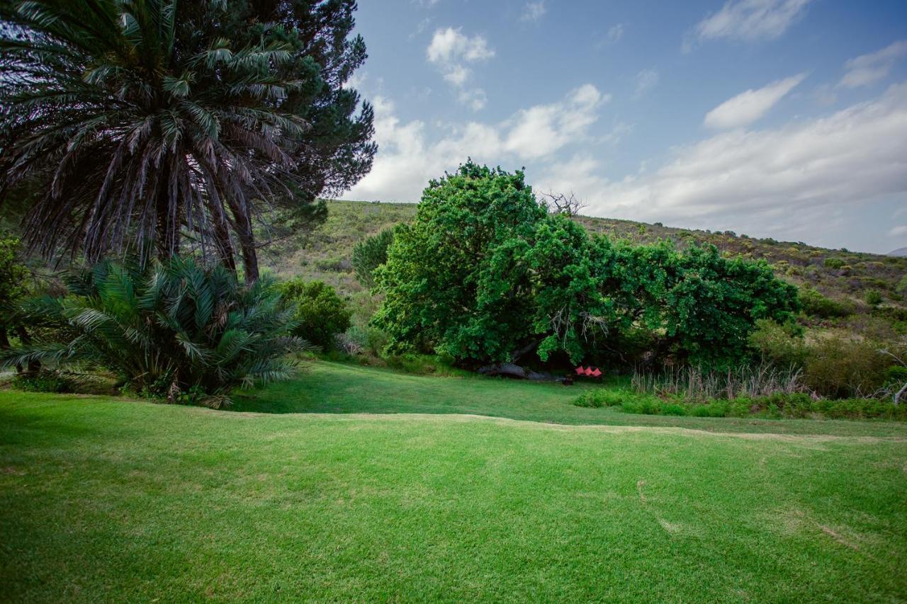 Goedvertrou Guest Farm Papiesvlei 外观 照片