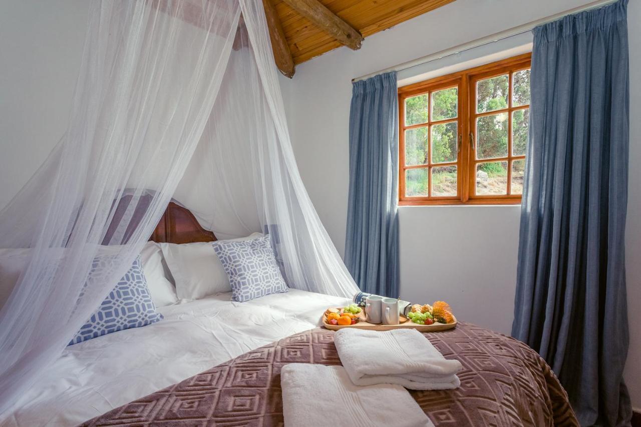Goedvertrou Guest Farm Papiesvlei 外观 照片