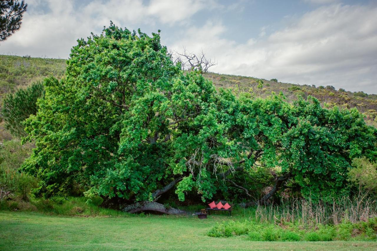 Goedvertrou Guest Farm Papiesvlei 外观 照片